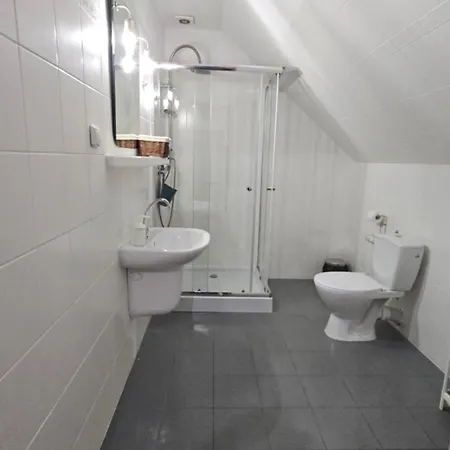 住宿加早餐酒店 Podkarpacka